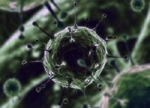 Microorganismos bacterianos como causa de prostatite
